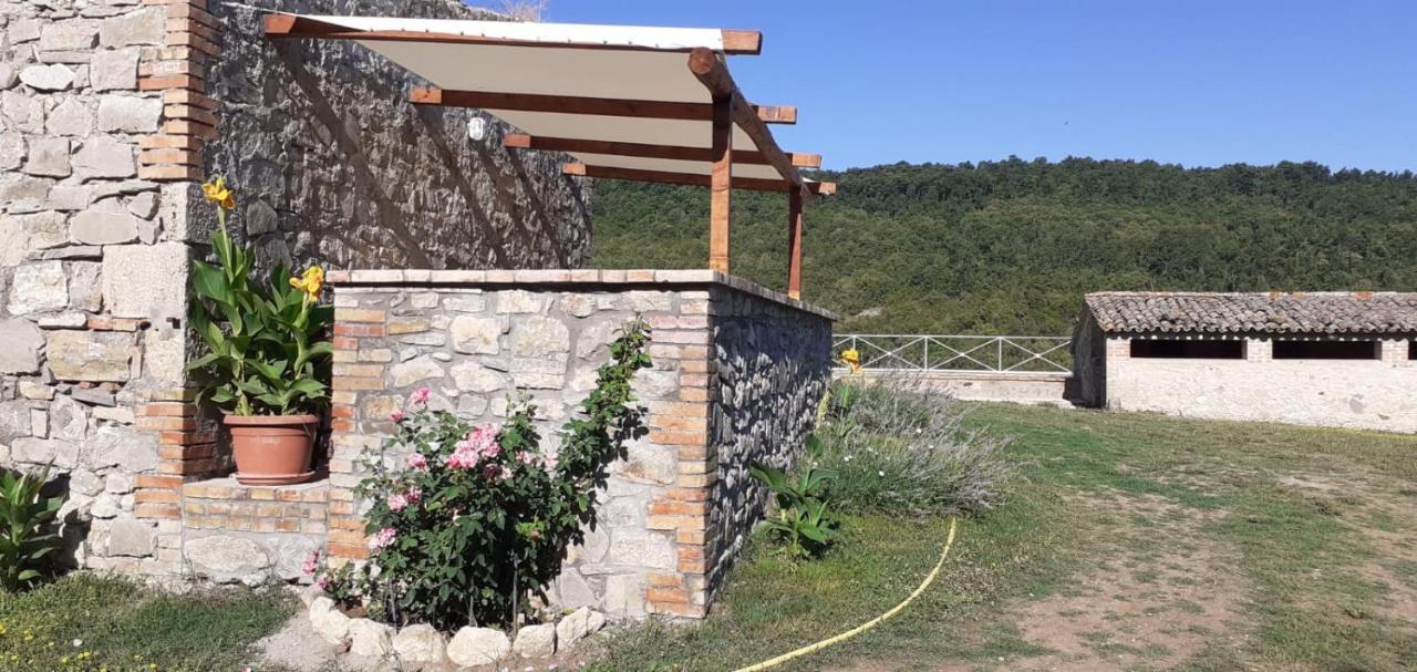 Casale Al Lago Con Piscina E Sauna Corbara  外观 照片