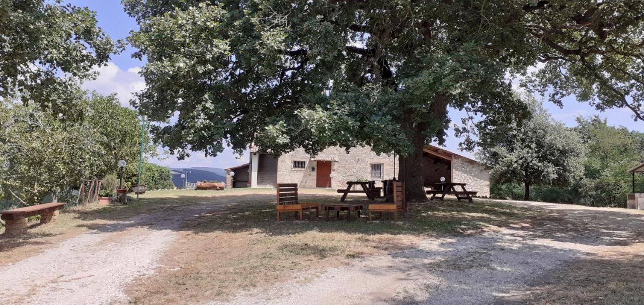 Casale Al Lago Con Piscina E Sauna Corbara  外观 照片