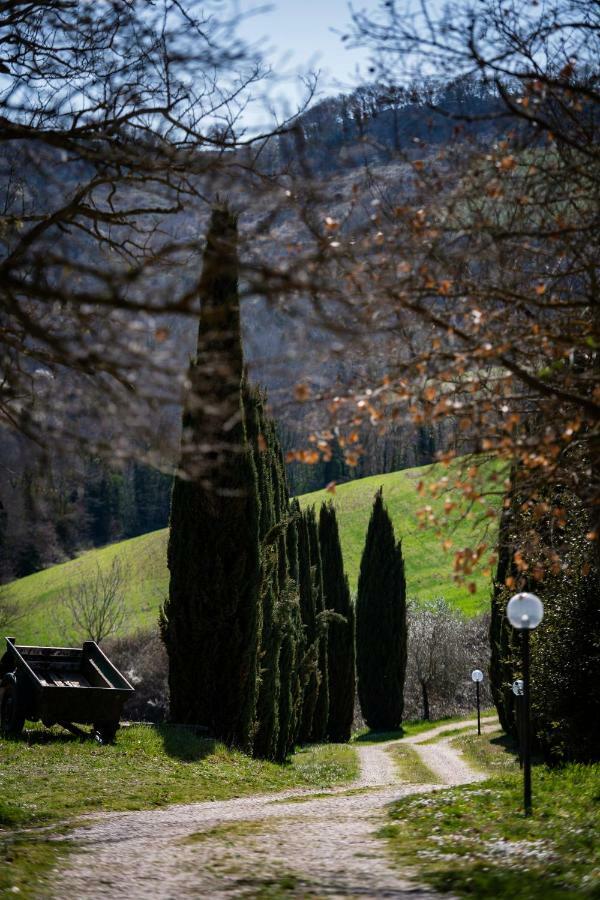 Casale Al Lago Con Piscina E Sauna Corbara  外观 照片