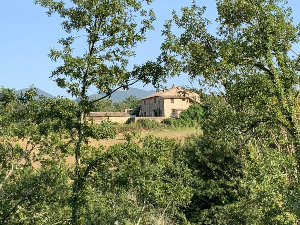 Casale Al Lago Con Piscina E Sauna Corbara  外观 照片