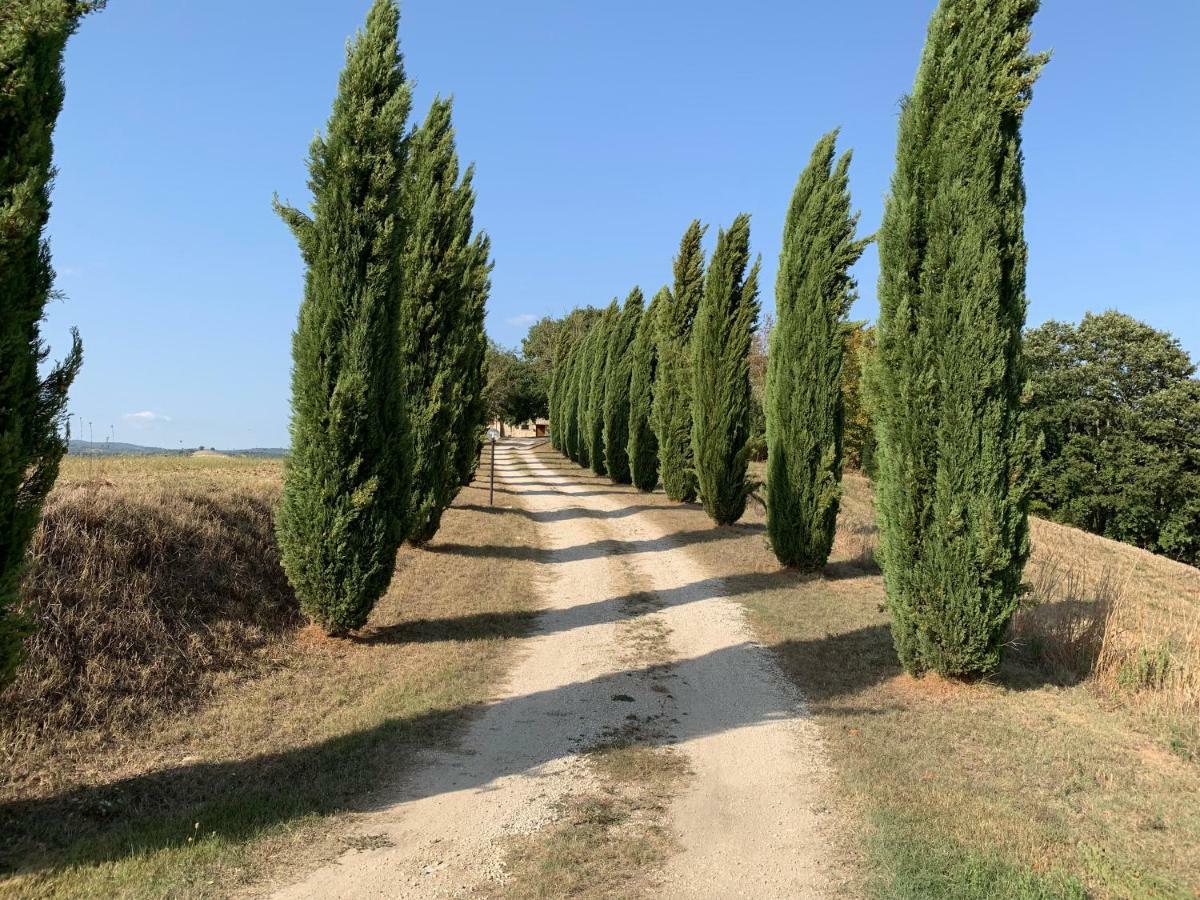 Casale Al Lago Con Piscina E Sauna Corbara  外观 照片