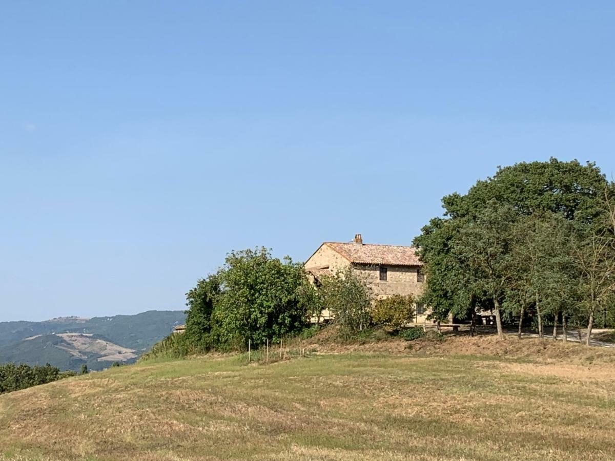 Casale Al Lago Con Piscina E Sauna Corbara  外观 照片