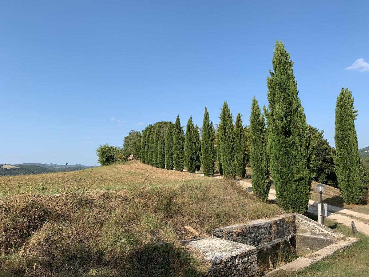 Casale Al Lago Con Piscina E Sauna Corbara  外观 照片
