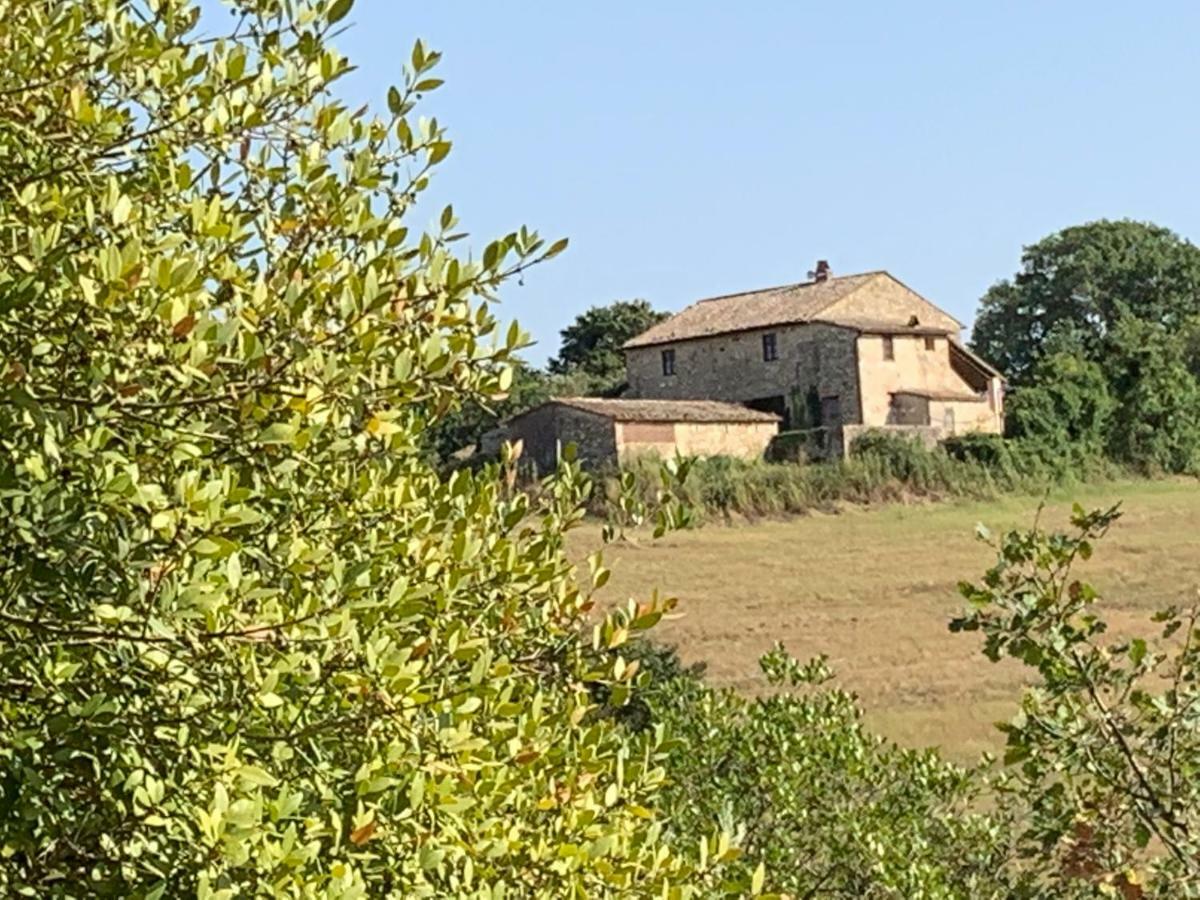 Casale Al Lago Con Piscina E Sauna Corbara  外观 照片