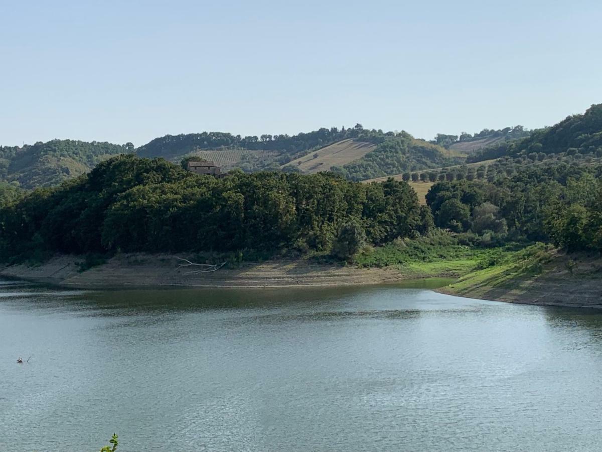 Casale Al Lago Con Piscina E Sauna Corbara  外观 照片