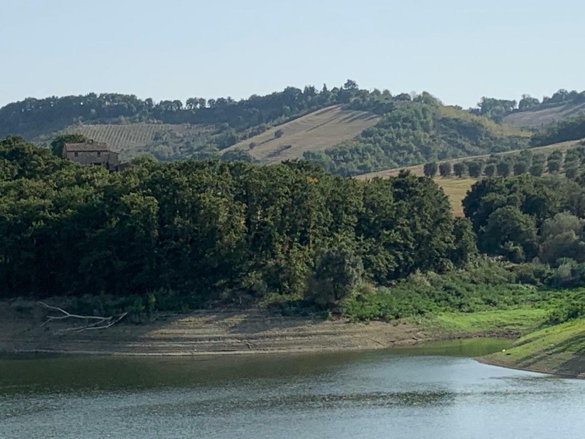 Casale Al Lago Con Piscina E Sauna Corbara  外观 照片