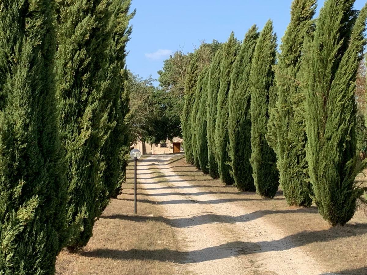 Casale Al Lago Con Piscina E Sauna Corbara  外观 照片